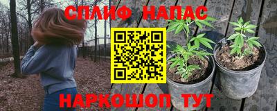 гидропоника Донской
