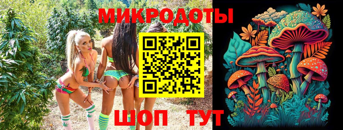 Биробиджан  Псилоцибиновые грибы Psilocybe  хочу   Вход с VPN 