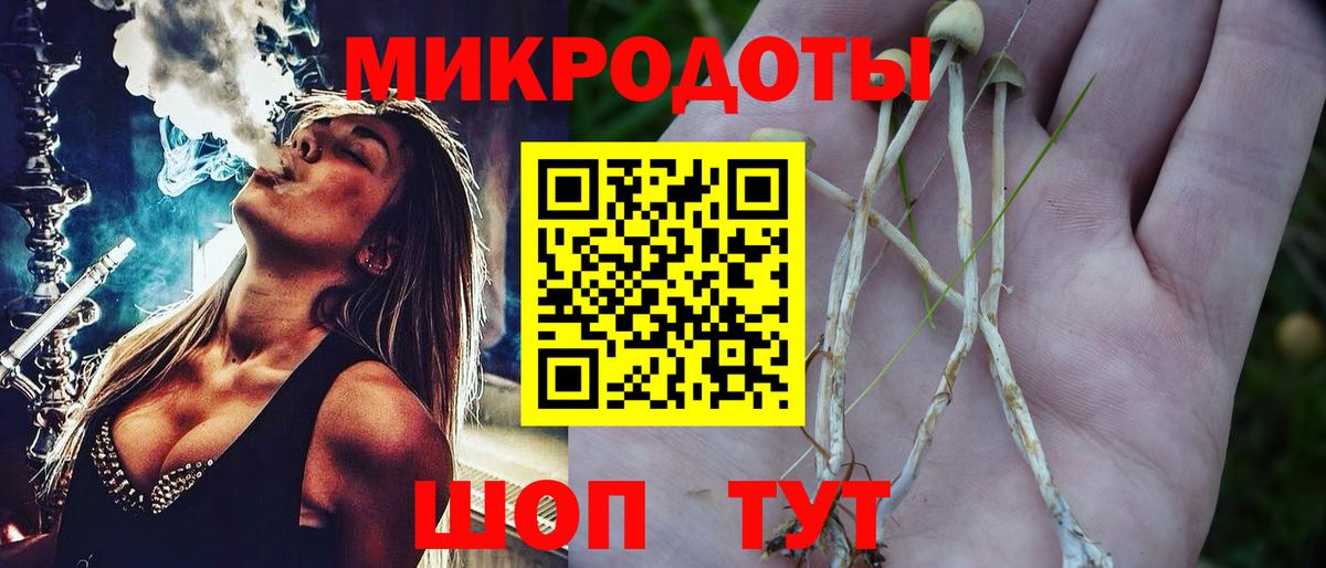 Псилоцибиновые грибы мицелий Биробиджан